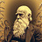 darwin_evolution darwin_evolution